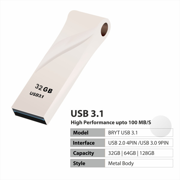 BRYT Metal Body Flash Drive USB 3.1 High-Speed Type A Pendrive With 10 Years Warranty 32 GB Pen Drive (Silver)
